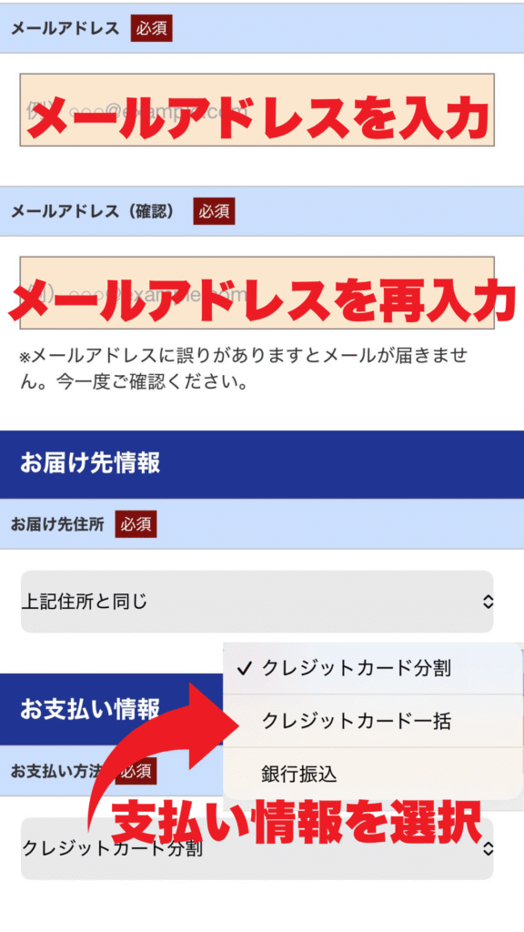 ナクスル購入申込方法